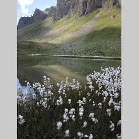 Cosy, Val D'herens - Eison, 1650m Altitude, Valais *
