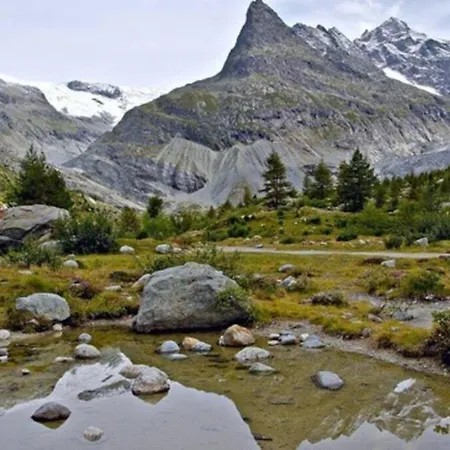 Apartment Cosy, Val D'herens - Eison, 1650m Altitude, Valais