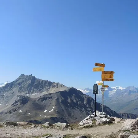 Apartment Cosy, Val D'herens - Eison, 1650m Altitude, Valais