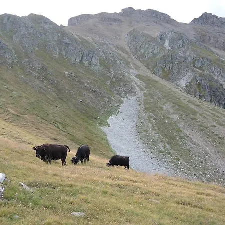 Apartment Cosy, Val D'herens - Eison, 1650m Altitude, Valais *